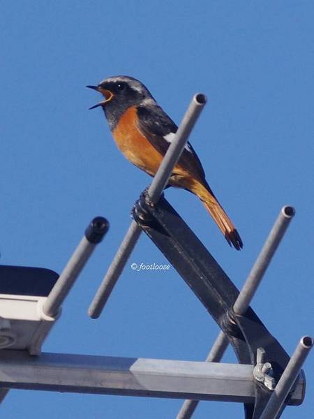 2012-10-19_163.jpg