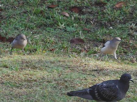 2012-10-21_067.jpg