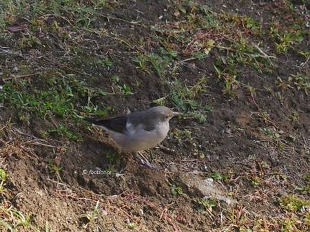 2012-10-21_087.jpg