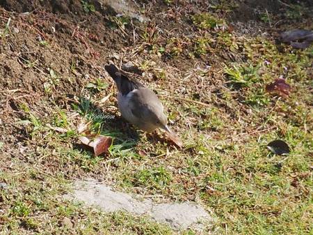 2012-10-21_091.jpg