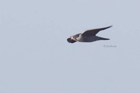 2012-10-24_399.jpg