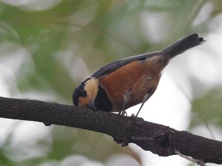 2012-10-27_085.jpg