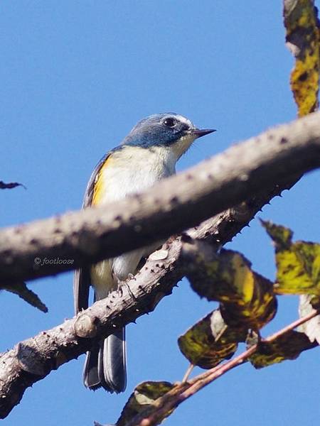 2012-11-18_505.jpg