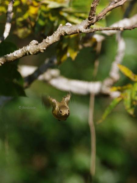 2012-11-18_725y.jpg