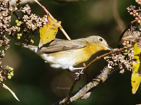 2012-11-18_731.jpg