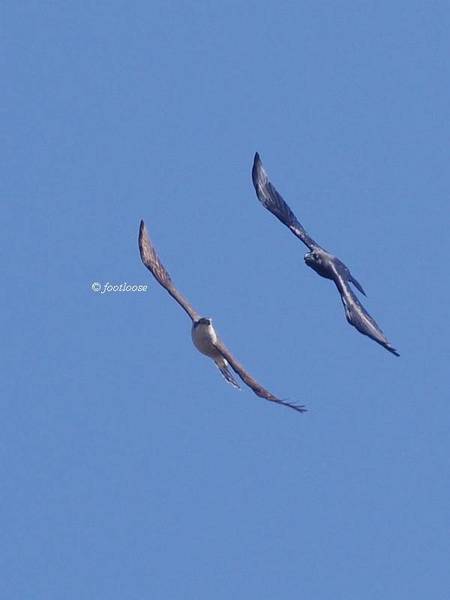 2012-11-18_889.jpg