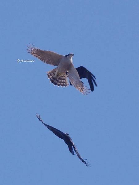 2012-11-18_890.jpg