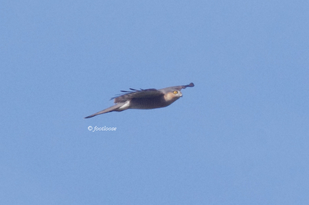 2012-11-21_335.jpg