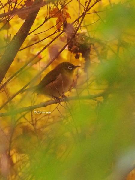 2012-11-23_043.jpg