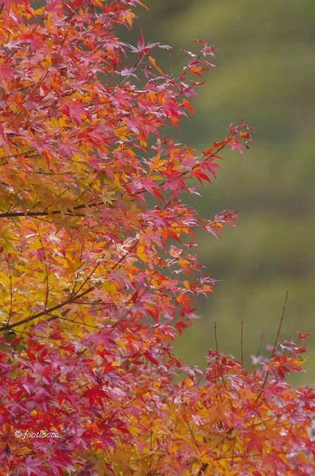 2012-11-23_156.jpg