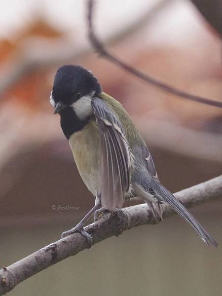 2012-11-30_179.jpg