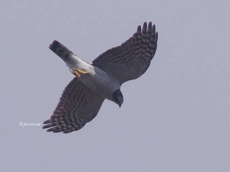 2012-12-07_441.jpg