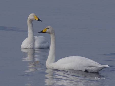 2012-12-07_854.jpg