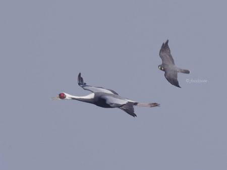 2012-12-09_195.jpg