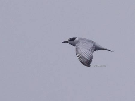 2012-12-15_192.jpg