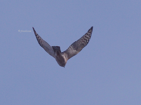 2012-12-16_213.jpg