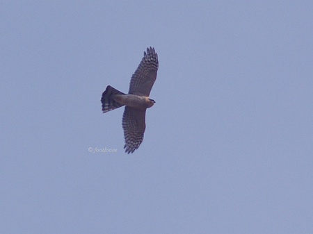2012-12-16_284.jpg