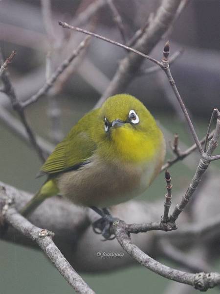 2012-12-25_100.jpg