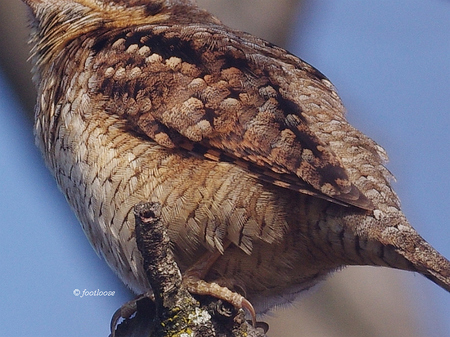 2013-01-31_067x.jpg