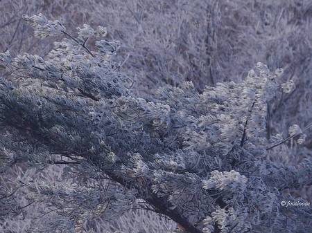 2013-02-07_023a.jpg