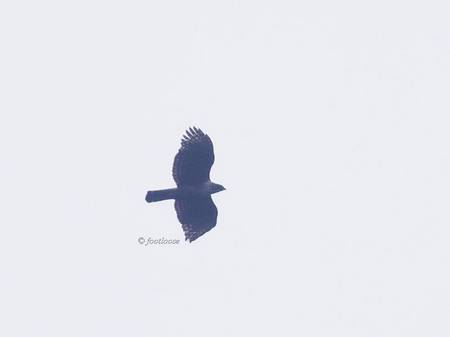 2013-02-17_086.jpg