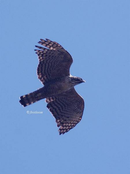 2013-02-24_178.jpg