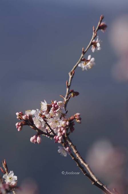 2013-02-27_243.jpg
