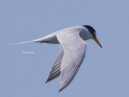 2013-04-29_550.jpg
