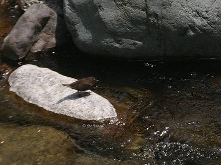 2013-05-04_489.jpg