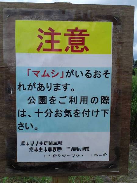 2013-06-15_590x.jpg