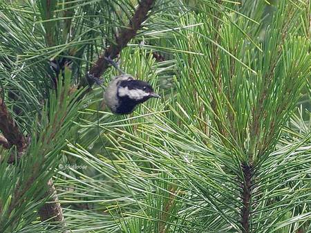 2013-06-16_361x.jpg