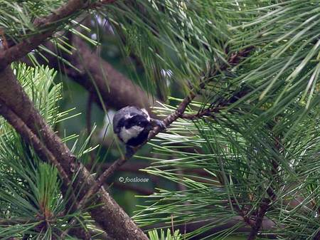 2013-06-16_391x.jpg