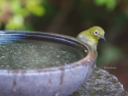 2013-07-15_109.jpg