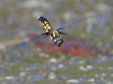 2013-07-17_311.jpg