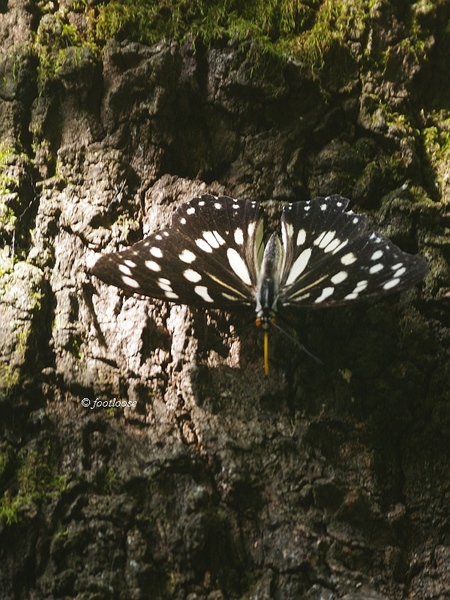 2013-07-19_159.jpg
