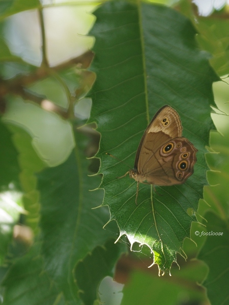 2013-07-19_245.jpg