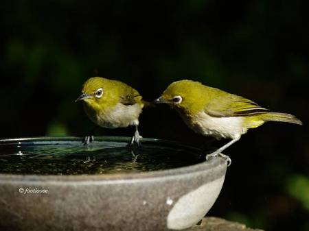 2013-07-21_067.jpg