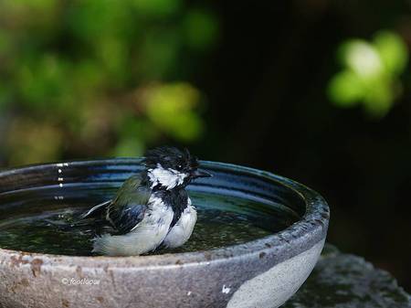2013-07-21_131.jpg