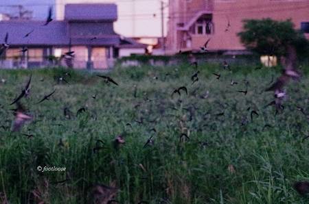 2013-08-18_1022x.jpg