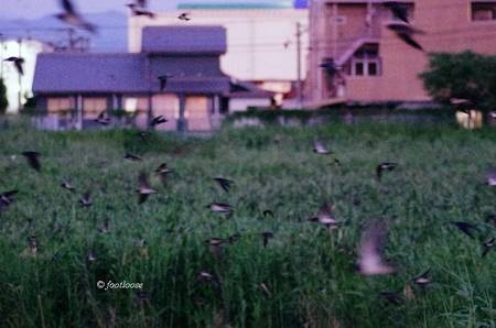 2013-08-18_1028x.jpg