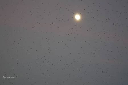 2013-08-18_853.jpg