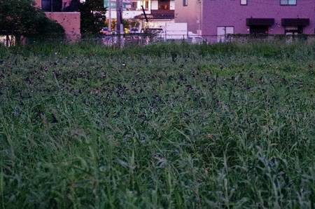 2013-08-18_994x.jpg