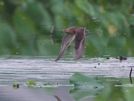 2013-08-23_290.jpg