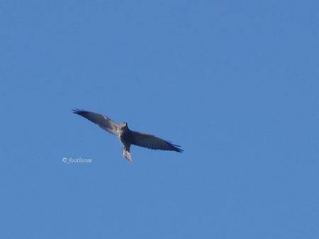 2013-09-18_071x.jpg