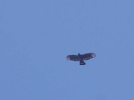 2013-09-18_163.jpg
