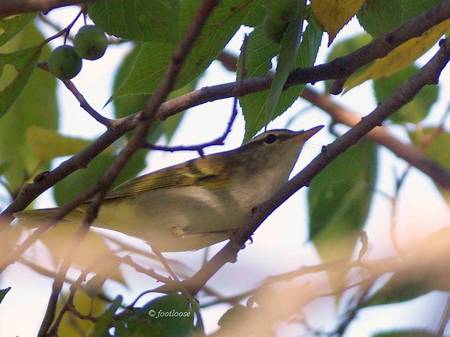 2013-09-21_092.jpg