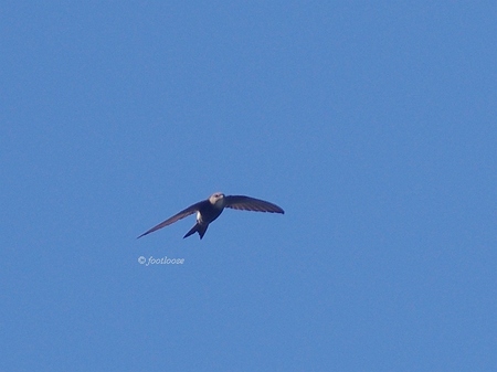 2013-09-21_154.jpg