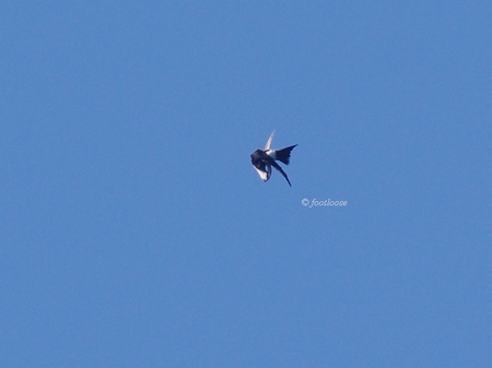 2013-09-21_210.jpg