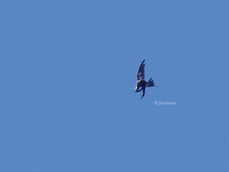 2013-09-21_211.jpg