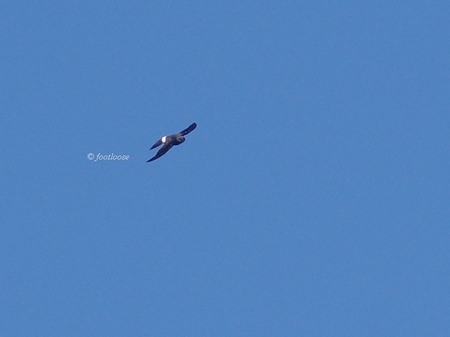 2013-09-21_220.jpg